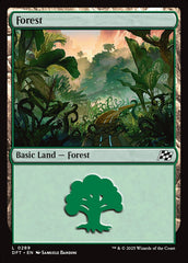 Floresta / Forest - Magic: The Gathering - MoxLand