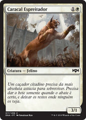 Caracal Espreitador / Prowling Caracal - Magic: The Gathering - MoxLand