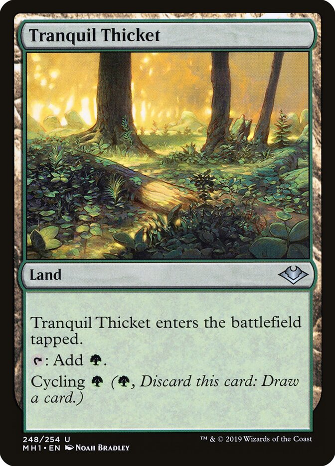 Bosque Sereno / Tranquil Thicket - Magic: The Gathering - MoxLand