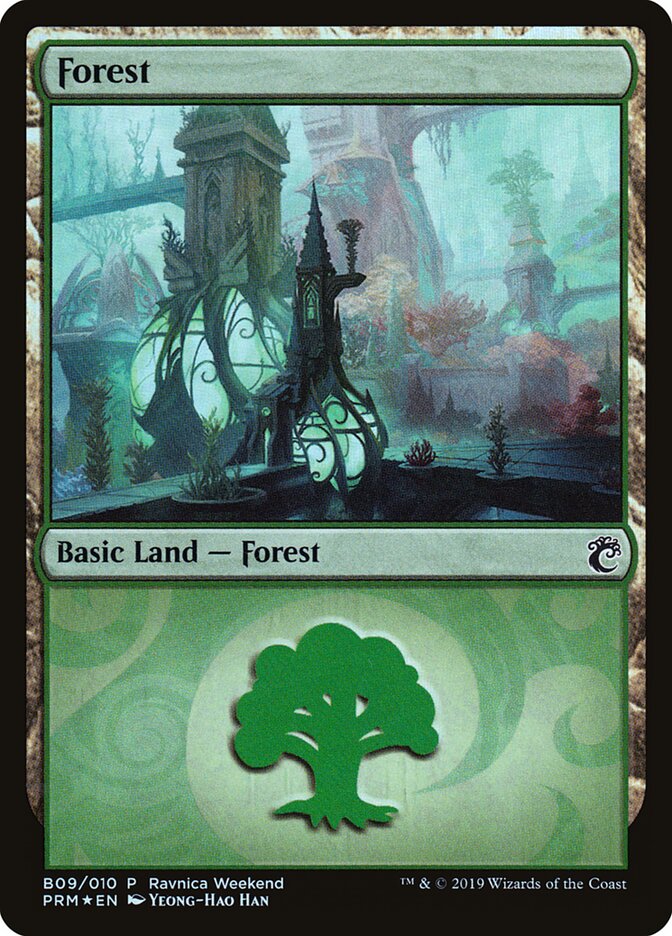 Floresta / Forest - Magic: The Gathering - MoxLand