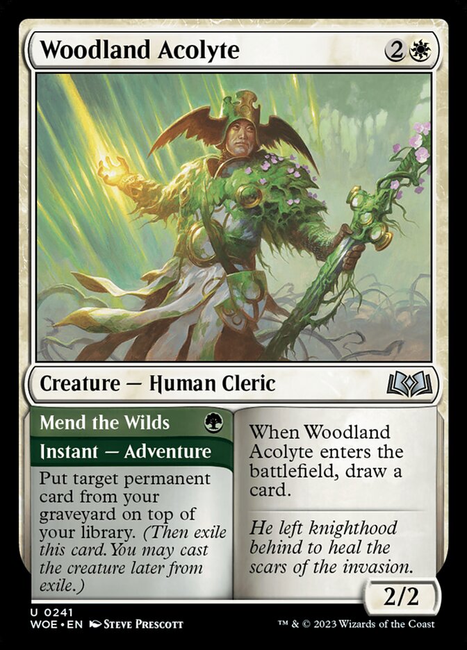 Acólito das Matas / Woodland Acolyte - Magic: The Gathering - MoxLand