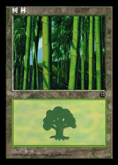 Floresta / Forest - Magic: The Gathering - MoxLand