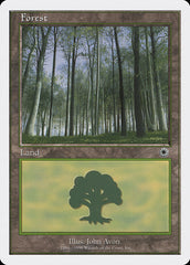 Floresta / Forest - Magic: The Gathering - MoxLand