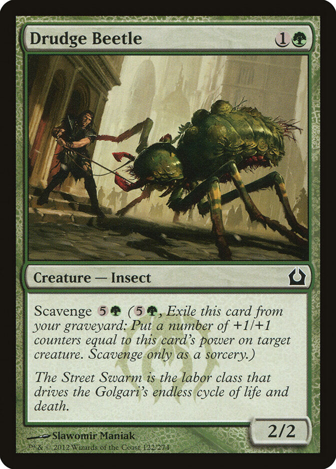 Besouro Servil / Drudge Beetle