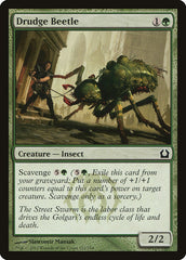 Besouro Servil / Drudge Beetle