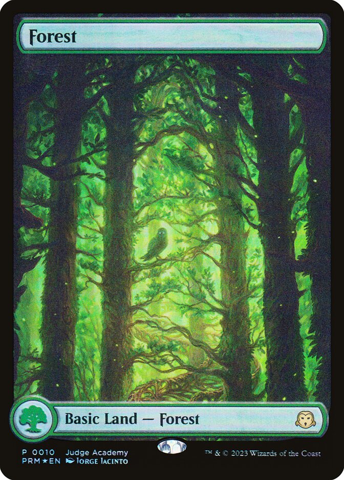 Floresta / Forest - Magic: The Gathering - MoxLand