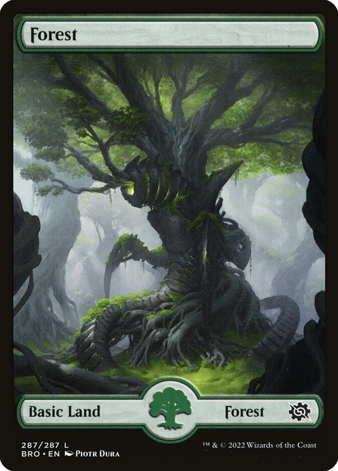 Floresta / Forest - Magic: The Gathering - MoxLand