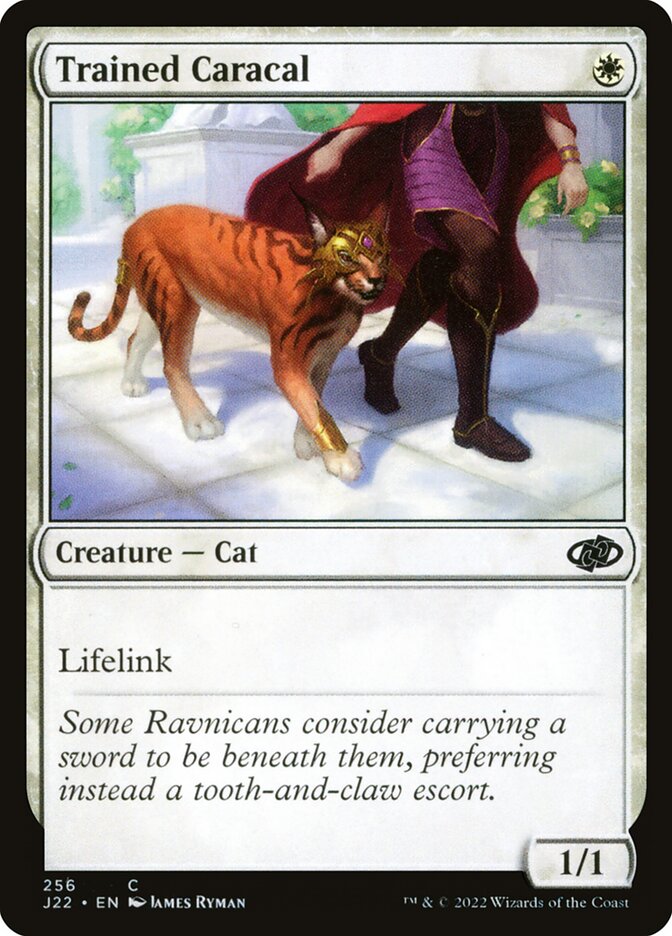 Caracal Treinado / Trained Caracal - Magic: The Gathering - MoxLand