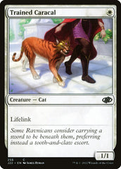 Caracal Treinado / Trained Caracal - Magic: The Gathering - MoxLand