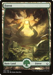 Floresta / Forest - Magic: The Gathering - MoxLand