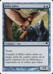 Coruja Sábia / Sage Owl - Magic: The Gathering - MoxLand