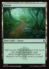 Floresta / Forest