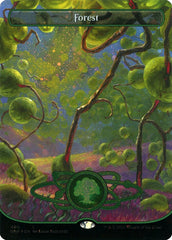 Floresta / Forest - Magic: The Gathering - MoxLand