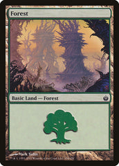 Floresta / Forest - Magic: The Gathering - MoxLand