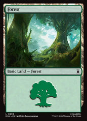 Floresta / Forest - Magic: The Gathering - MoxLand
