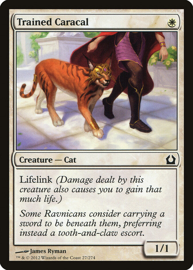 Caracal Treinado / Trained Caracal - Magic: The Gathering - MoxLand