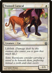 Caracal Treinado / Trained Caracal - Magic: The Gathering - MoxLand