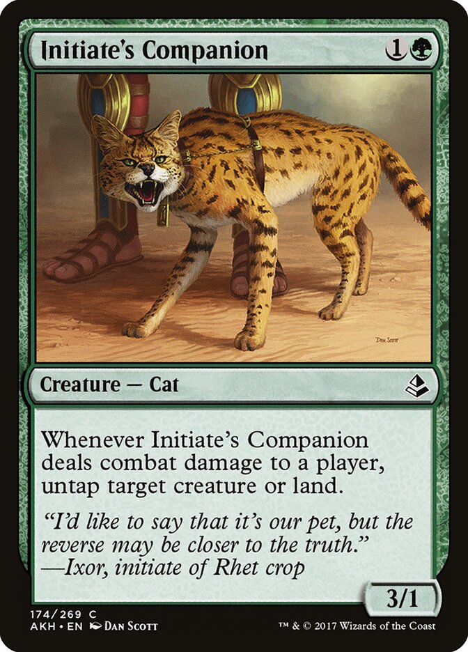 Companheiro do Iniciado / Initiate's Companion - Magic: The Gathering - MoxLand