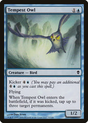 Coruja da Tempestade / Tempest Owl