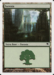 Floresta / Forest - Magic: The Gathering - MoxLand