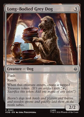Long-Bodied Grey Dog