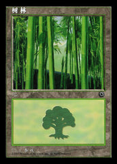 Floresta / Forest - Magic: The Gathering - MoxLand