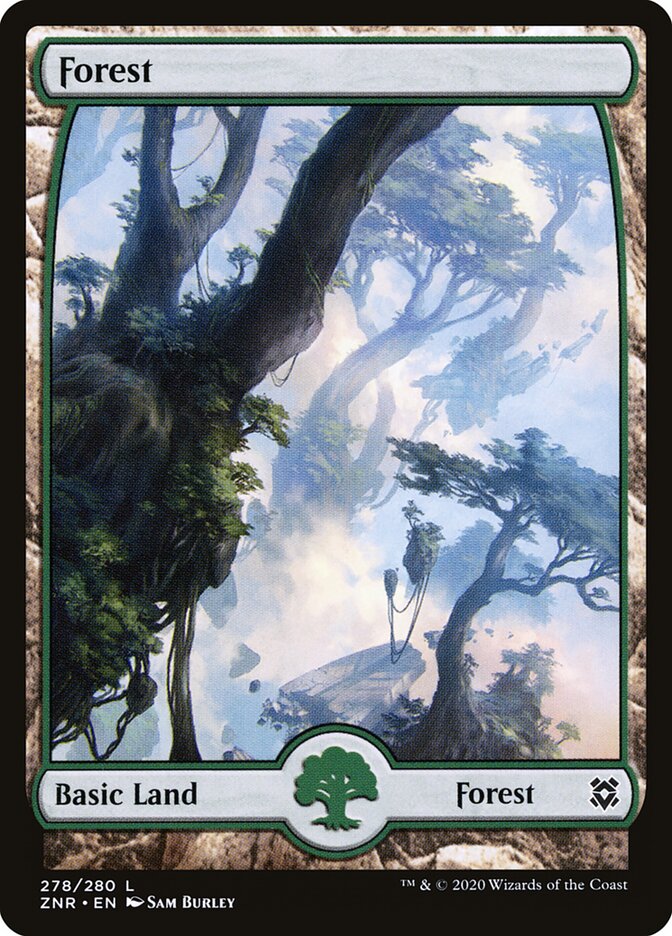 Floresta / Forest - Magic: The Gathering - MoxLand