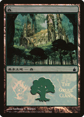 Floresta / Forest - Magic: The Gathering - MoxLand