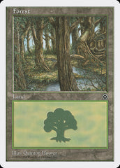 Floresta / Forest - Magic: The Gathering - MoxLand