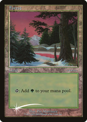 Floresta / Forest - Magic: The Gathering - MoxLand