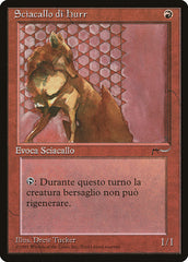 Chacal de Hurr / Hurr Jackal - Magic: The Gathering - MoxLand