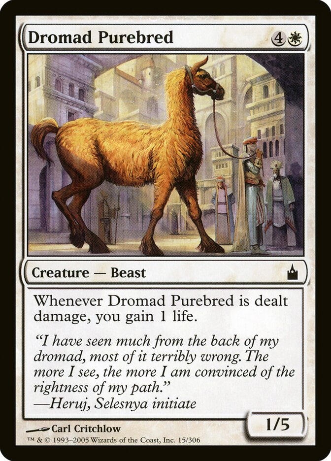 Dromedário Raça Pura / Dromad Purebred - Magic: The Gathering - MoxLand