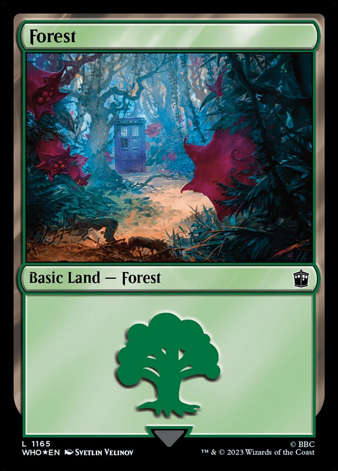Floresta / Forest - Magic: The Gathering - MoxLand