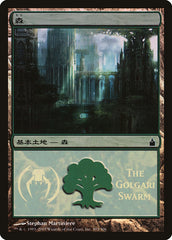 Floresta / Forest - Magic: The Gathering - MoxLand