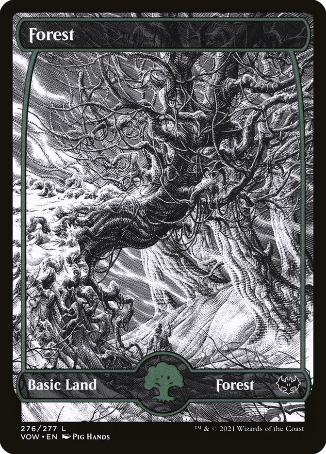 Floresta / Forest - Magic: The Gathering - MoxLand
