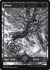 Floresta / Forest - Magic: The Gathering - MoxLand
