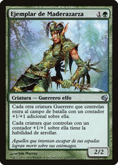 Paradigma da Floresta de Arbustos / Bramblewood Paragon - Magic: The Gathering - MoxLand