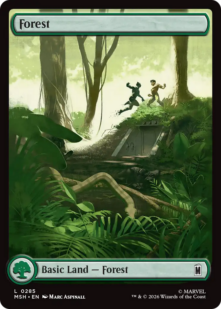 Floresta / Forest - Magic: The Gathering - MoxLand
