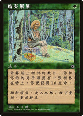 Fruition / Fruition - Magic: The Gathering - MoxLand