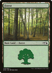 Floresta / Forest - Magic: The Gathering - MoxLand