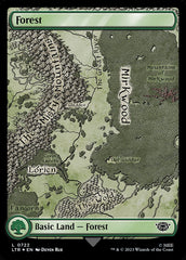 Floresta / Forest - Magic: The Gathering - MoxLand
