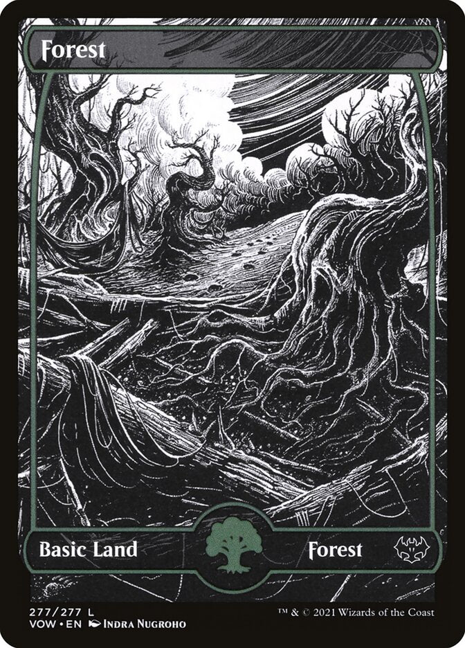 Floresta / Forest - Magic: The Gathering - MoxLand