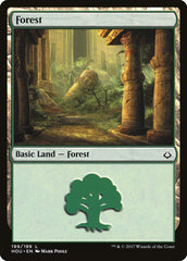 Floresta / Forest - Magic: The Gathering - MoxLand