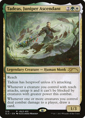 Tadeas, Juniper Ascendant - Magic: The Gathering - MoxLand