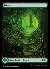 Floresta / Forest - Magic: The Gathering - MoxLand