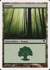 Floresta / Forest - Magic: The Gathering - MoxLand