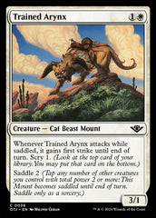 Arynx Treinado / Trained Arynx - Magic: The Gathering - MoxLand