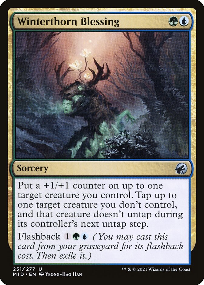 Bênção do Espinho Invernal / Winterthorn Blessing - Magic: The Gathering - MoxLand