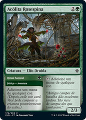 Acólita Rosespina / Rosethorn Acolyte - Magic: The Gathering - MoxLand