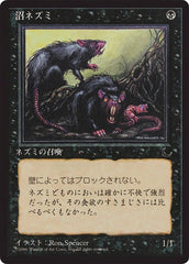 Ratos do Pântano / Bog Rats - Magic: The Gathering - MoxLand